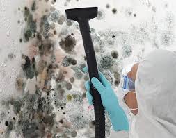 Reliable The Meadows, FL Mold Removal Services Solutions